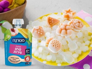 מתכון לארטיקים עם מחיות מטרנה 
