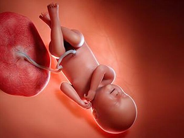 עובר בשבוע 40 להריון