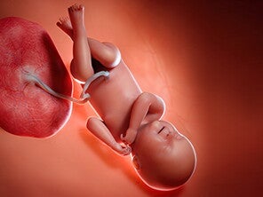 שבוע 40 להריון