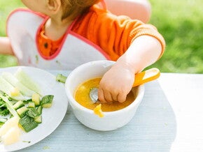 תזמון ארוחת מוצקים בסדר היום