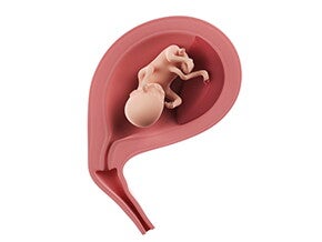 שבוע 15 להריון