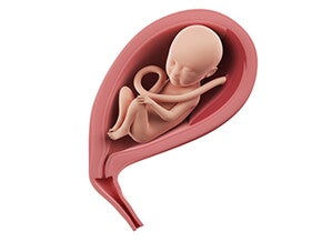 שבוע 22 להריון