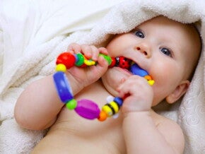 תינוק מחזיק מכניס אל פיו  נשכן צבעוני