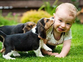 פעוט משחק עם כלב