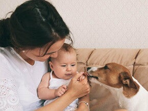 תינוק קטן ואימו מלטפים כלב