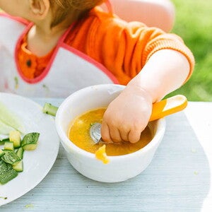 תזמון ארוחת מוצקים בסדר היום