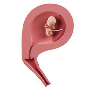 שבוע 11 להריון