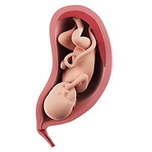 שבוע 35 להריון