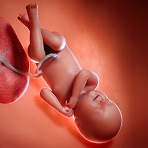 שבוע 40 להריון