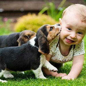 פעוט משחק עם כלב