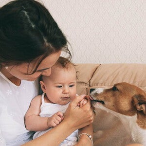 תינוק קטן ואימו מלטפים כלב