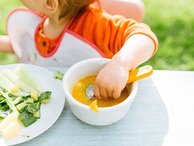 תזמון ארוחת מוצקים בסדר היום