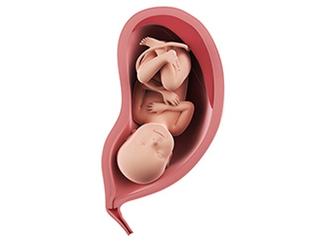 שבוע 37 להריון