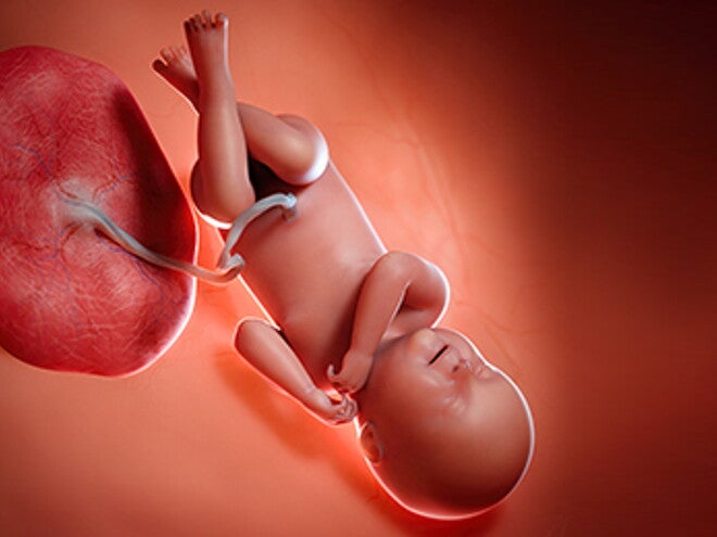 שבוע 40 להריון