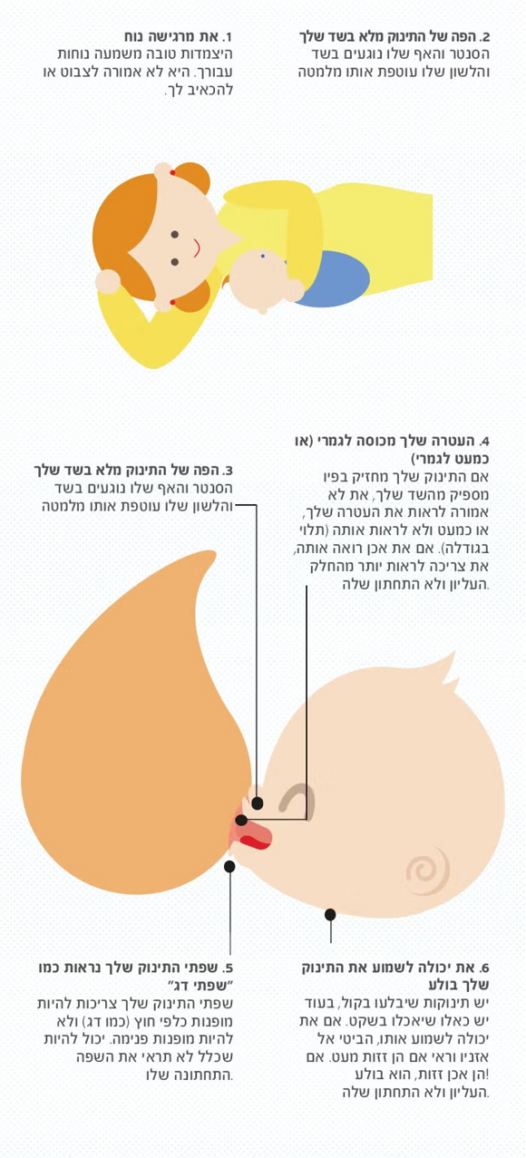 הנקה למתחילות חלק 2: השיגי הצמדות טובה